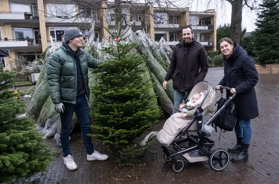 Klanten kiezen een kerstboom bij het verkooppunt in Soest