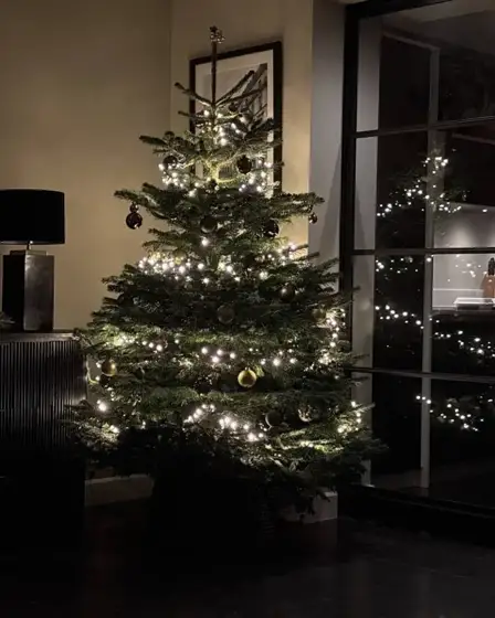 Kerstboom met donkere en gouden ballen naast een stalen deur