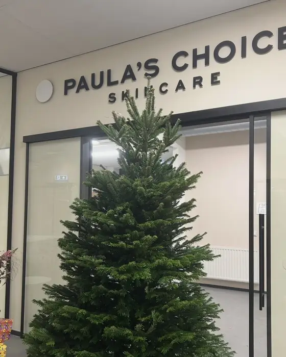 Volle kerstboom bij de entree van Paula's Choice Skincare