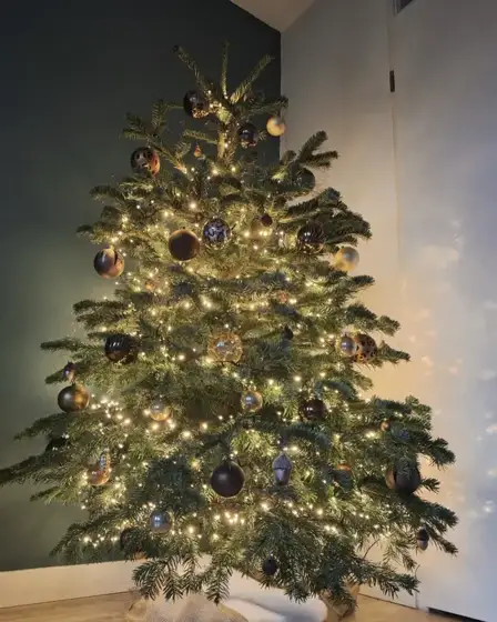Volle kerstboom in een hoek met donkere ballen