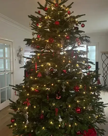 Grote kerstboom met rode versiering