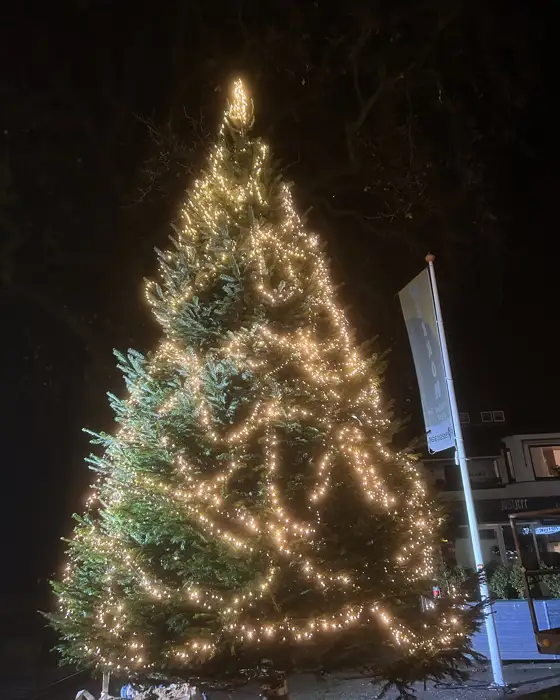 Grote verlichte kerstboom aan de Van Weedestraat in Soest
