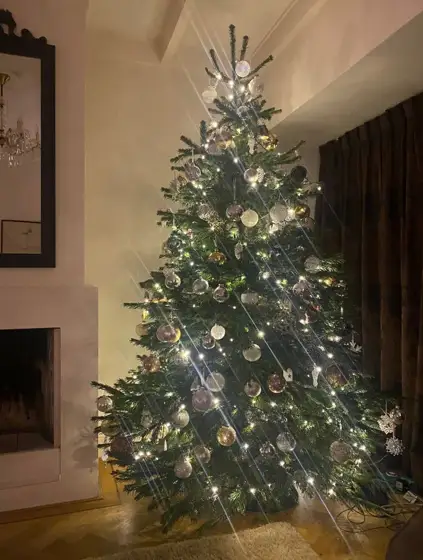 Versierde kerstboom in een woonkamer met open haard
