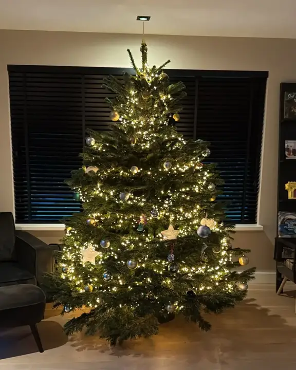 Volle, verlichte kerstboom in een sfeervolle woonkamer in Blaricum