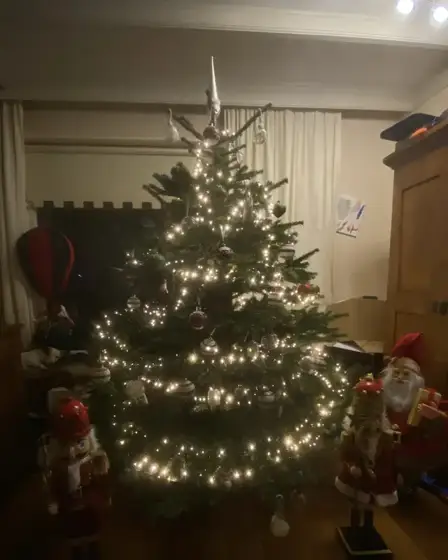 Verlichte kerstboom met notenkrakers ernaast